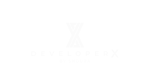 Developer X